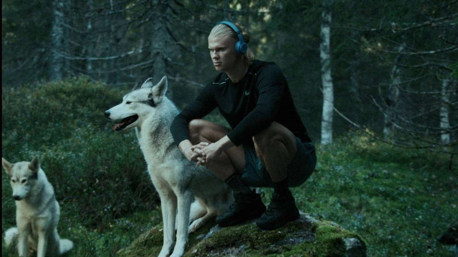 而普理查德 而普理查德